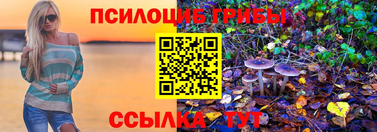 Псилоцибиновые грибы Cubensis Богородицк