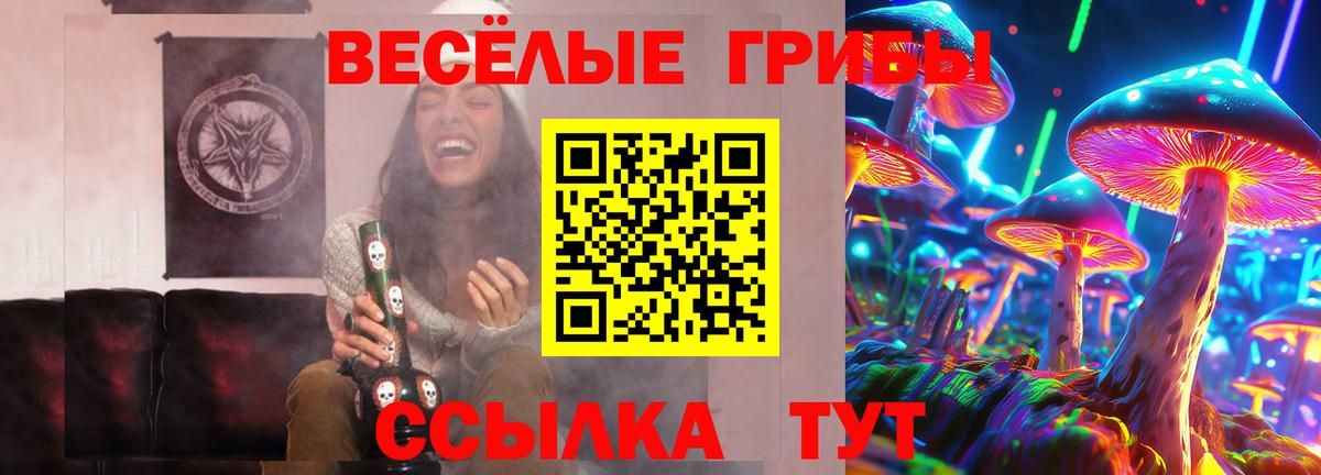 Богородицк  Галлюциногенные грибы мухоморы  Вход с VPN 